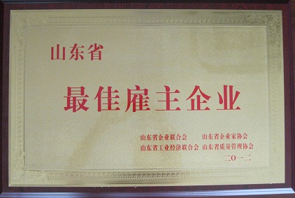 山東省最佳雇主企業(yè)
